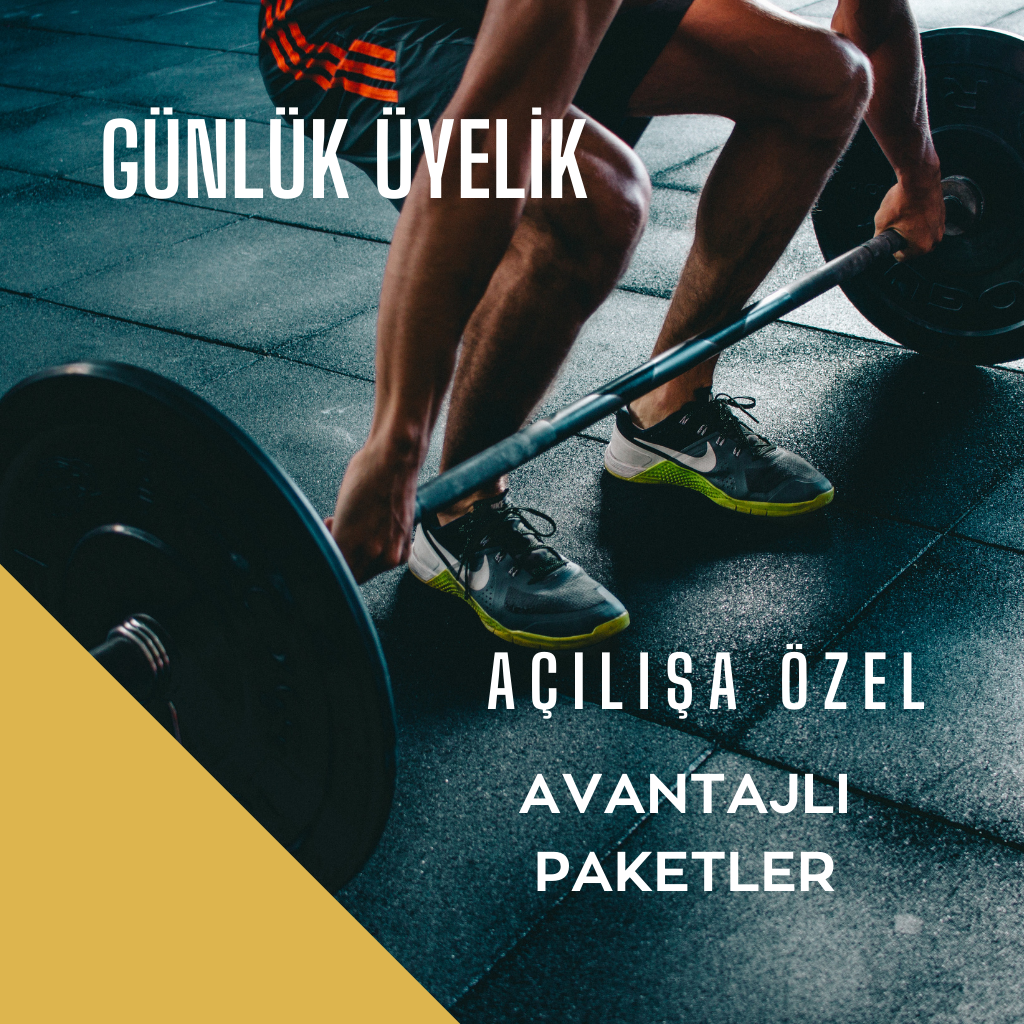 GÜNLÜK GİRİŞ